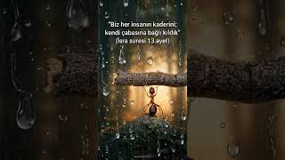 Kaderini Değiştirme Sırrı Ayet Özler