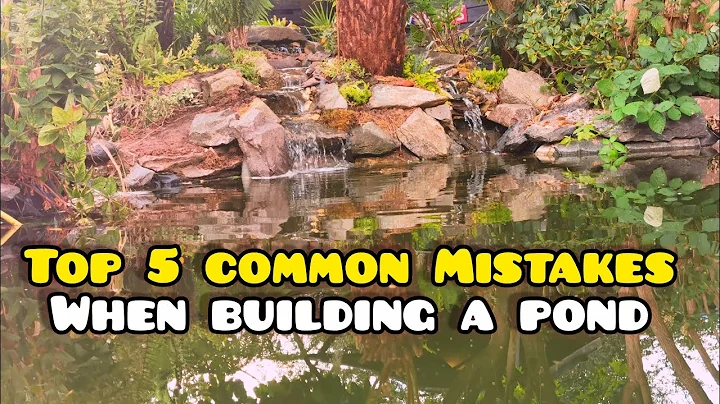 Avoid These 5 COMMON MISTAKES When Building a Pond or Waterfall