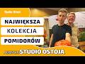 Stare ODMIANY POMIDORÓW biją markety na głowę. POMIDORY Z CAŁEGO ŚWIATA l STUDIO OSTOJA