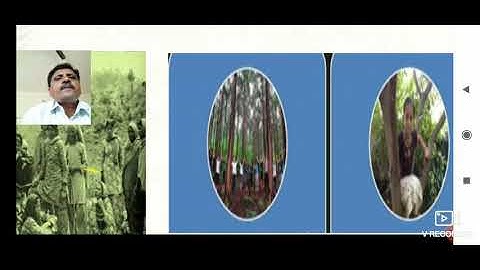 Std:11 Unit :3 Read :1 FEMALES  FOR  FORESTRY  Part :3