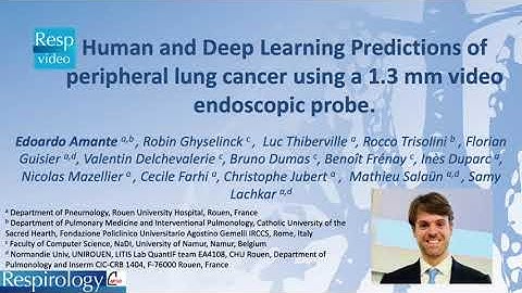 Human and Deep Learning Predictions of Peripheral Lung Cancer Using a 1.3 mm Video Endoscopic Probe