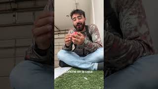 Se me olvidó comerme el lonche en el trabajo