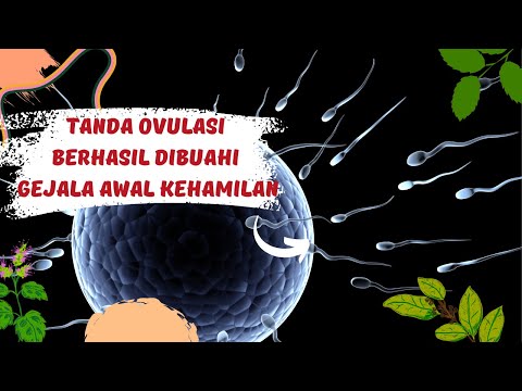 Video: 6 Cara Mengetahui Saat Anda Berovulasi