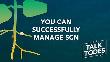 You can successfully manage SCN