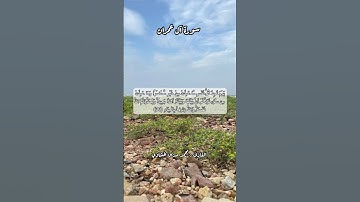 سورة آل عمران ٣٠ #قرآن #قرآن_كريم #قران #قران #قران_كريم