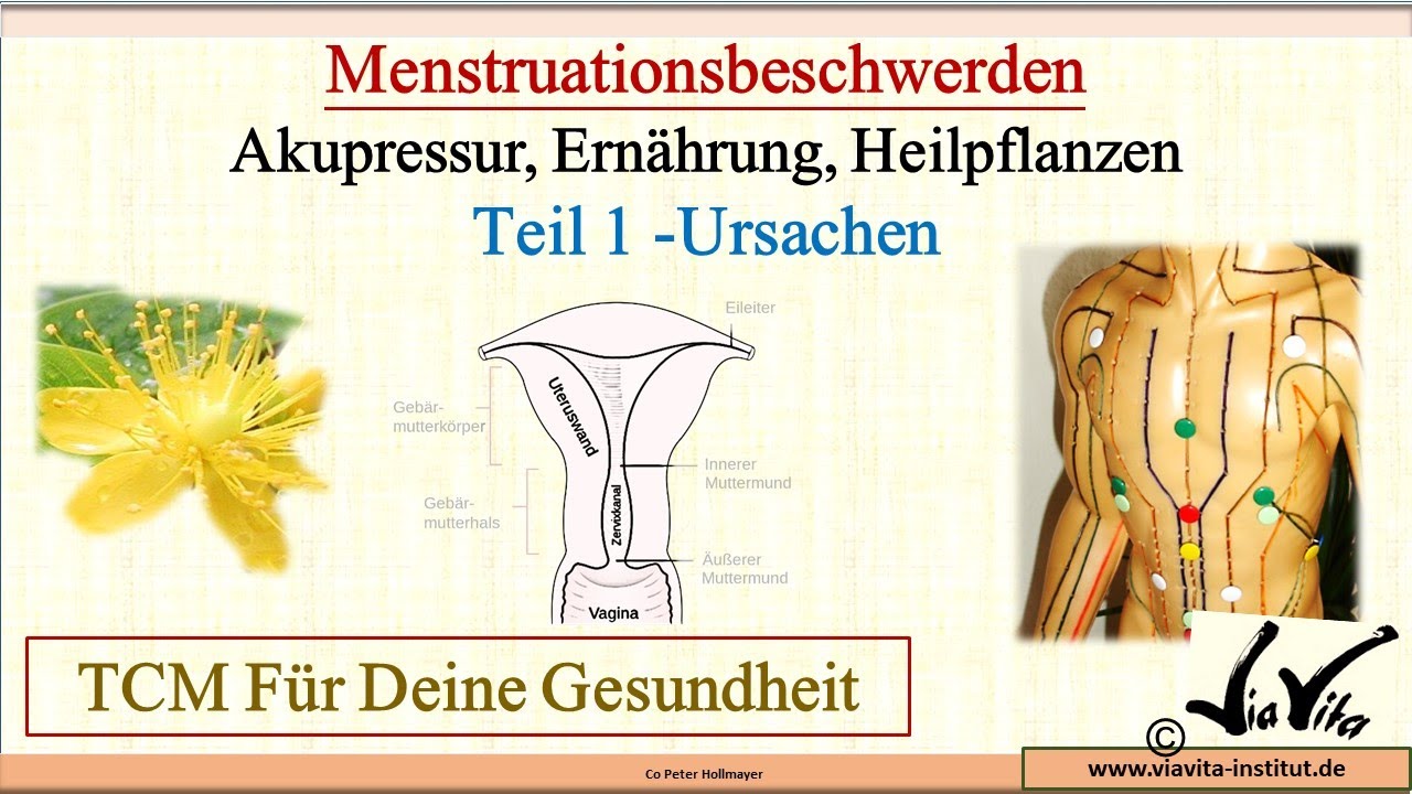 Menstruationsbeschwerden behandeln mit der TCM Teil 1 - YouTube