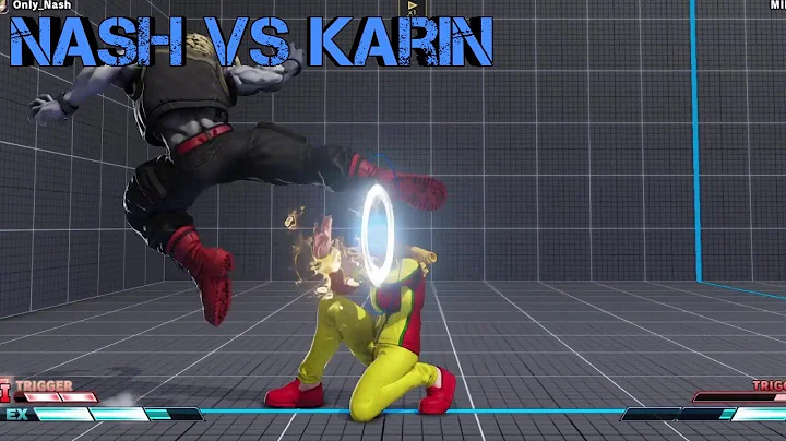 Nash vs Karin high level SFV:CE