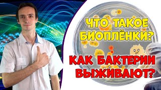 Биопленки 🦠 как бактерии научились выживать и сопротивляться антибиотикам.