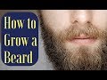 3 tips on how to grow a beard with beardster