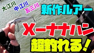 【新作ルアー】こんなに釣れるの!X-NANAHAN凄すぎ!!【メガバス】【五三川】【大江川】【中江川】【こんぐらいでいいっしょ】