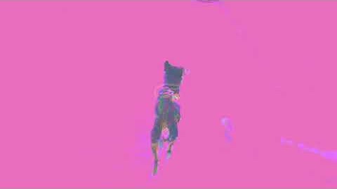 PartyOnMarz - Intro (Official Music Video)