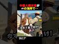 中国人観光客がアメリカの海岸で…