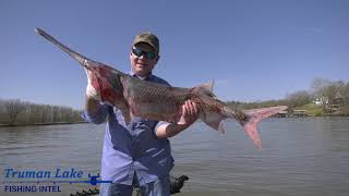 Cody Vannattan Spoonbill Snagging on Lake of the Ozarks