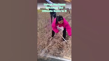 Unlock Maximum Efficiency The Ultimate Guide to Ripe Soybean Cutting with the Best Tools