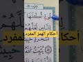 أحكام الهمز المفرد الساكن حفظ تلاوات تجويد أحكام تعليم البقرة
