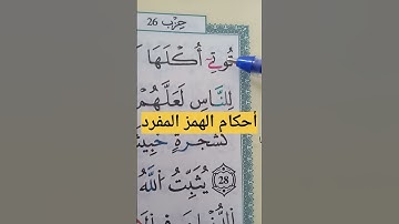 أحكام الهمز المفرد الساكن #حفظ #تلاوات #تجويد #أحكام #تعليم #البقرة