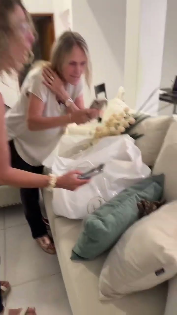 Women Surround Sleepy Kitten With Cameras || ViralHog