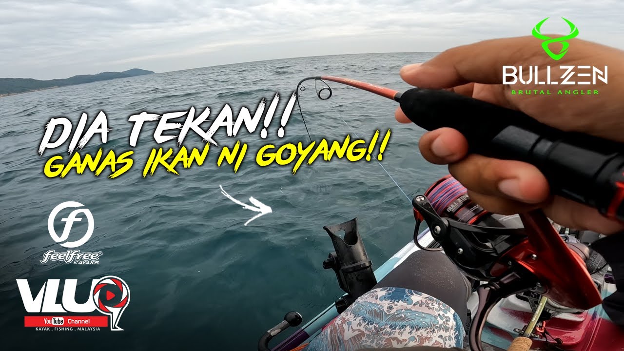 Lain MACAM IKAN ni punya GOYANG !!! - #VLUQ448