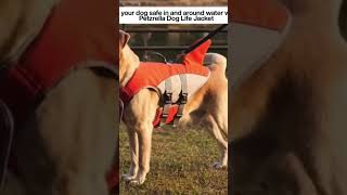 Dog Life Jacket #viral #pets #funny #dogs#dog#fun #doglife#cute