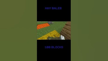 Minecraft Fall Damage 👀 #shorts