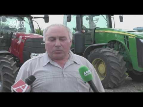 Video: Castraveți în Creștere - Subtilitățile Tehnologiei Agricole