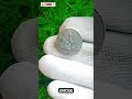 Title: The $25 Million Secret? 2005-P American Bison Nickel Rare Error Revealed! | Coin Pixel