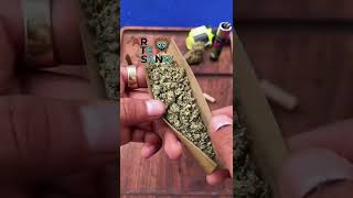 ¿Como hacer un blunt en 9 pasos?