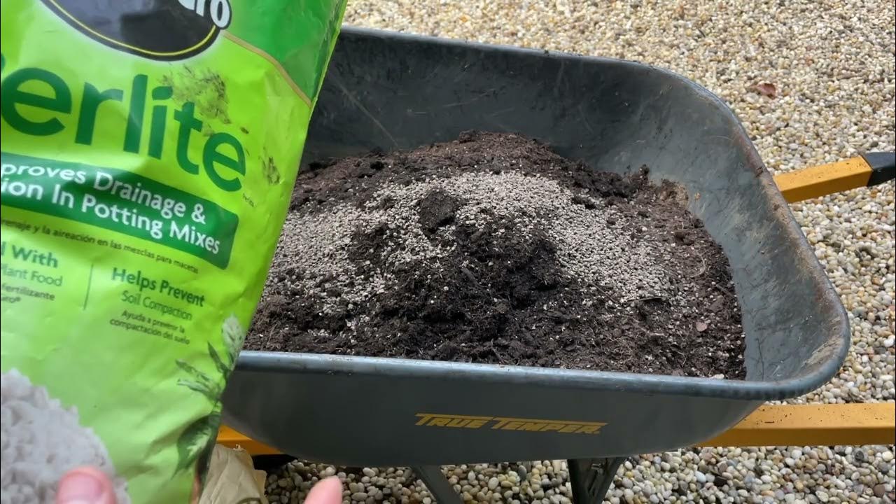 How to Rejuvenate And Reuse Old Potting Soil YouTube