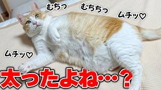 【驚愕】ロビンのお腹がとんでもないことになっていたので体重計に乗せてみたら…