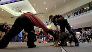 Police Week 2021 K9 Demonstration With Legendary Amazing Warriors and Peace Keepers!