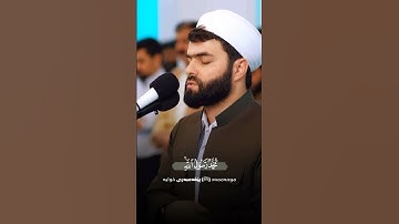 #بيشة_قادر_الكردي     سورة الفتح   محمد رسول الله        #سورة_الفتح  #peshawa_qadr_alkurdi