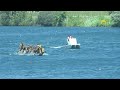 Canadian Dragon Boat Championships 2014 ★ Race 45 ★ Waterloo Paddling Club, New Dragons Racing Club,