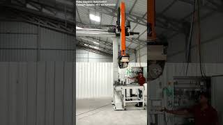Gantry System - Swadesh Type 5 by Robo Sapiens Automation, Pune. Contact Details +91 9075950000