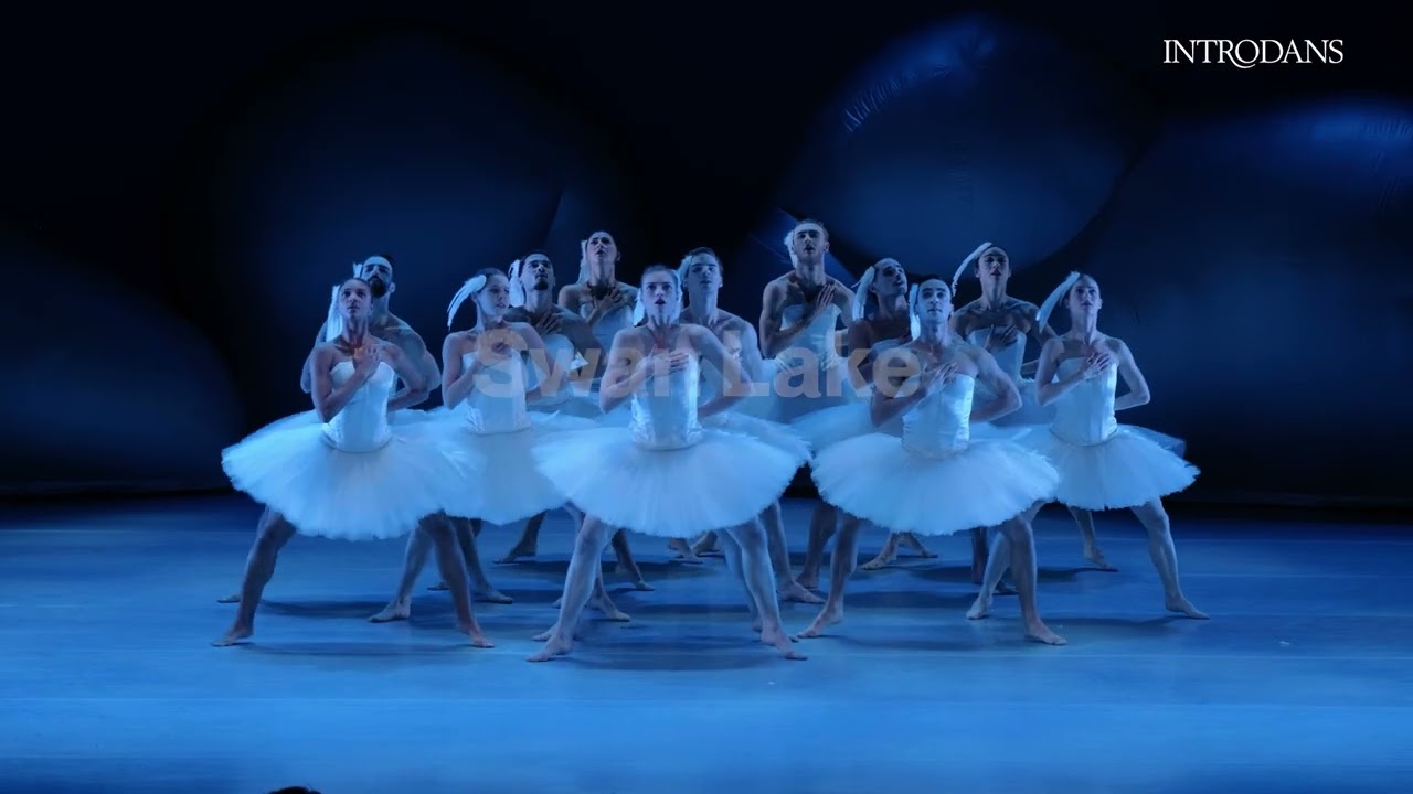 Introdans announces 2026-2027 season