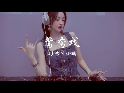 DJ 哈市小鹏 鸳鸯戏 Remix版