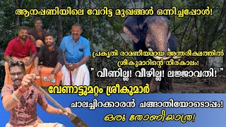  വണതലല സഷടങക പരണമചചത ലജജവത വണട വറടട ആനകകരയ Mk Channel