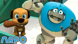 Puppy is messing around!!  Birthday DISASTER !!! | Kids TV Shows | Cartoons For Kids | Fun Anime