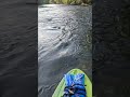 Santa fe river running clear &amp; shallow #paddlingadventures #santaferiver #nature #waterislife