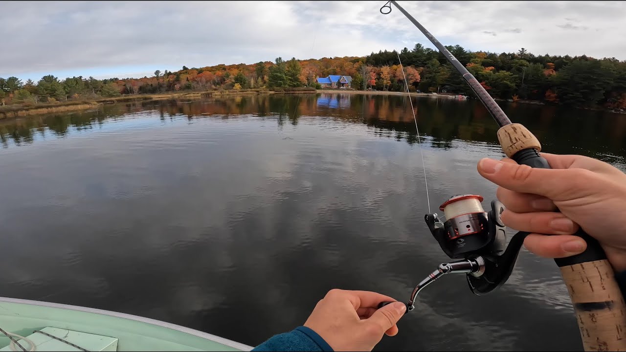 Fall Bass Fishing 🎣