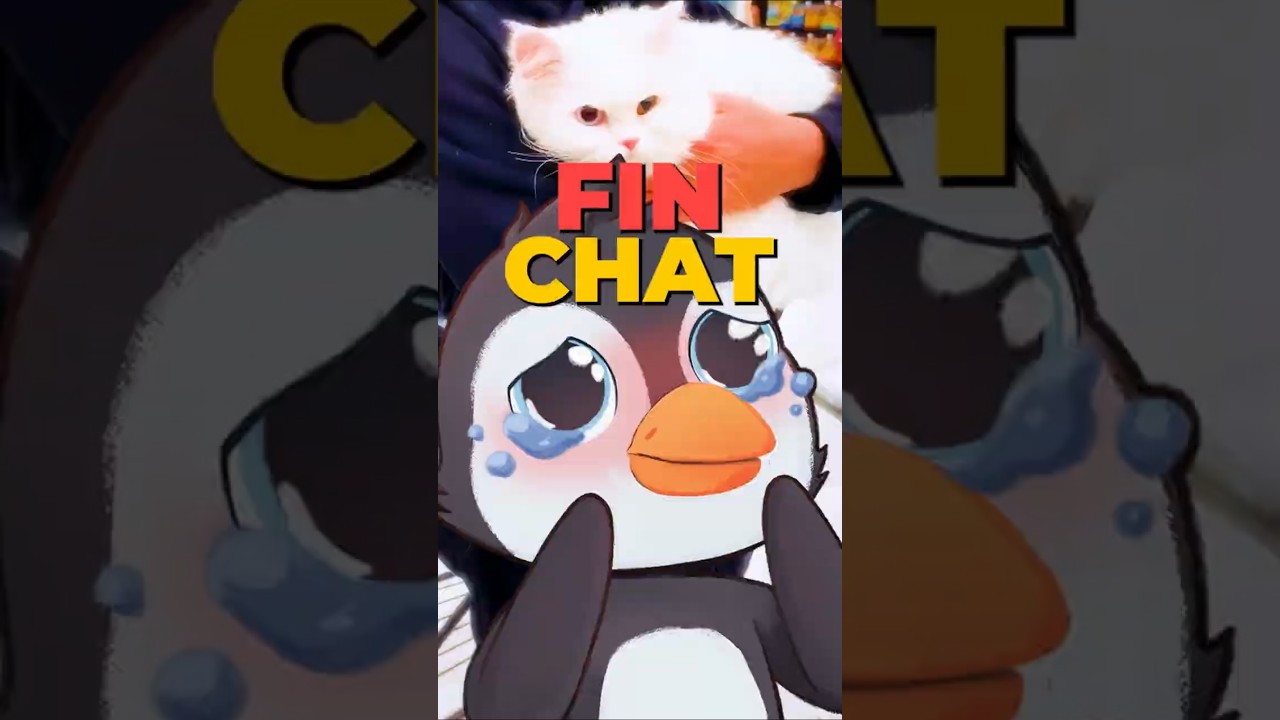 Fin Chat