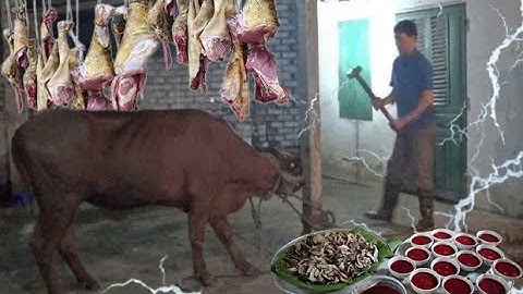 Tiết Canh Bò Đông Cứng Và Món Pịa Thum Thủm, Mổ Bò Đám Cưới Vùng Cao - Nhịp Sống Tây Bắc
