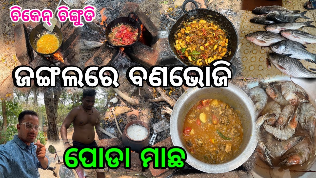 ଜଙ୍ଗଲରେ ବଣଭୋଜି / ଚିକେନ୍🐔ଚିଙ୍ଗୁଡି🦐 ସହ ପୋଡା ମାଛ🐠  / Village Style Chicken Curry 