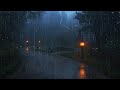 Thunderstorm in the Misty Forest Path • Relaxing Rain and Lightning Ambience for Sleep and Focus