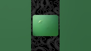 Footage of Mermaid in australia