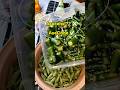 Pedes, Gurih, Nagih !! Ah rese, bikin tambah nasi 🫣 #cooking #masakanrumahan #cabe #food #ytshorts