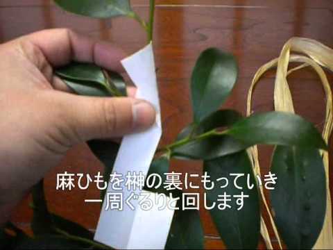 玉串の作り方 榊に紙垂を付けます 神社のお祭り 祭礼など玉串奉奠は式に必ず入ってきます よって玉串も必ず用意することになります そのときの付け方になります Youtube