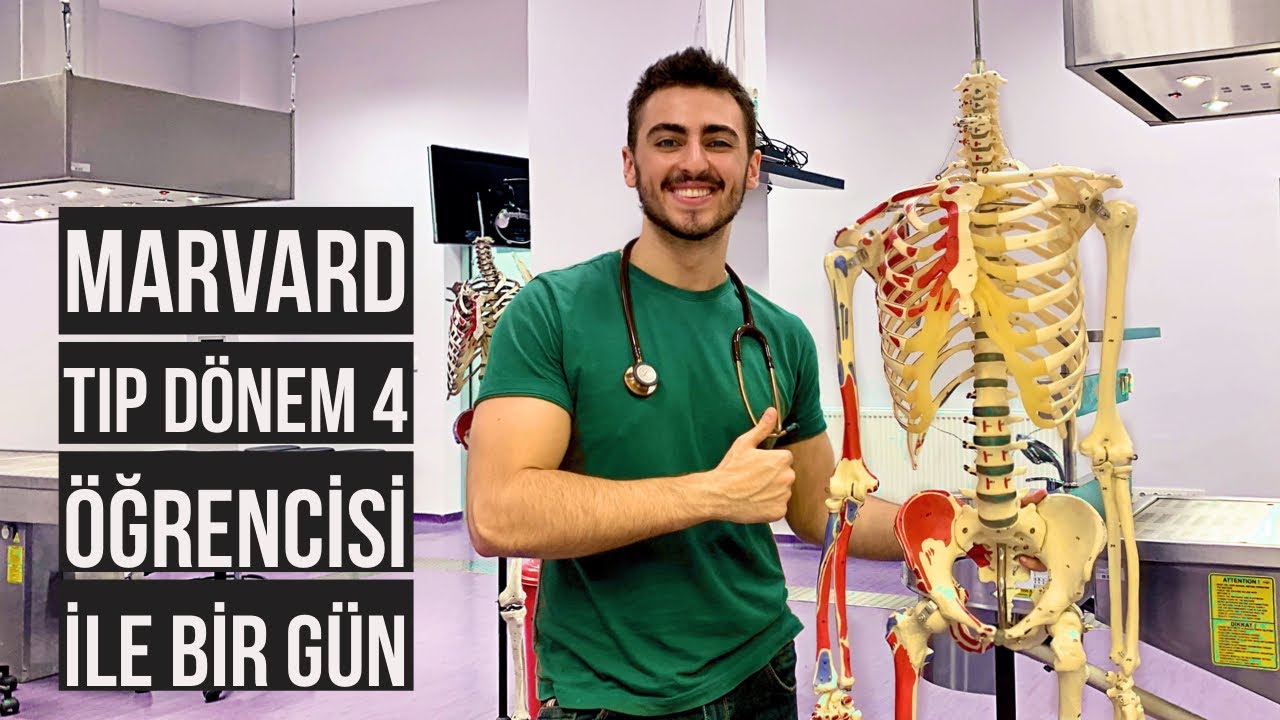 Marmara Tıp 4.Sınıf Öğrencisiyle Bir Gün | İngilizce vs Türkçe Tıp | BerkMD