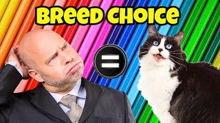 What Does the Cat Breed You Own Say About Your Personality