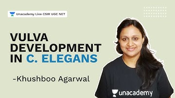 Vulva development in C. elegans| CSIR 2021 | Life Science| Khushboo Agarwal| Unacademy Live
