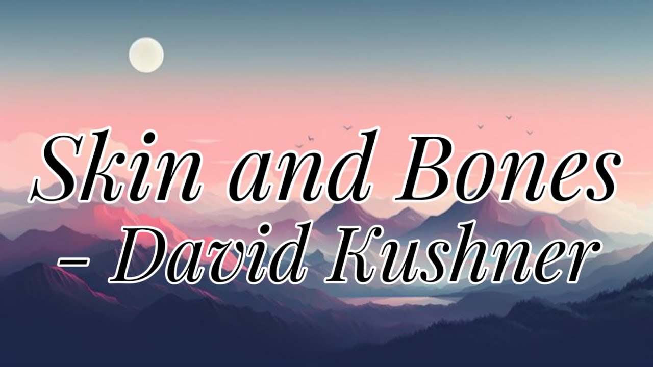 David Kushner - Skin and Bones (Lyrics) - YouTube